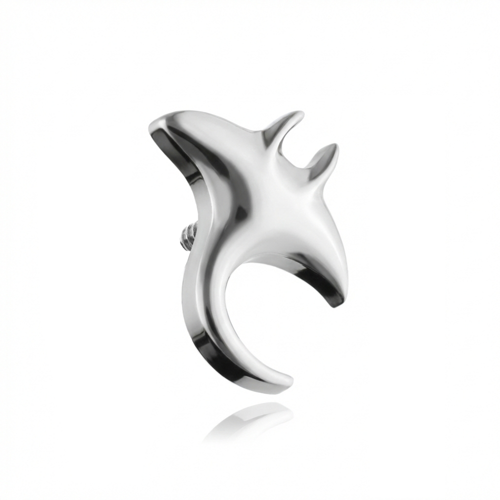 Titanová koncovka pro tyčinky stříbrný s bílými zirkony - - TNA-104