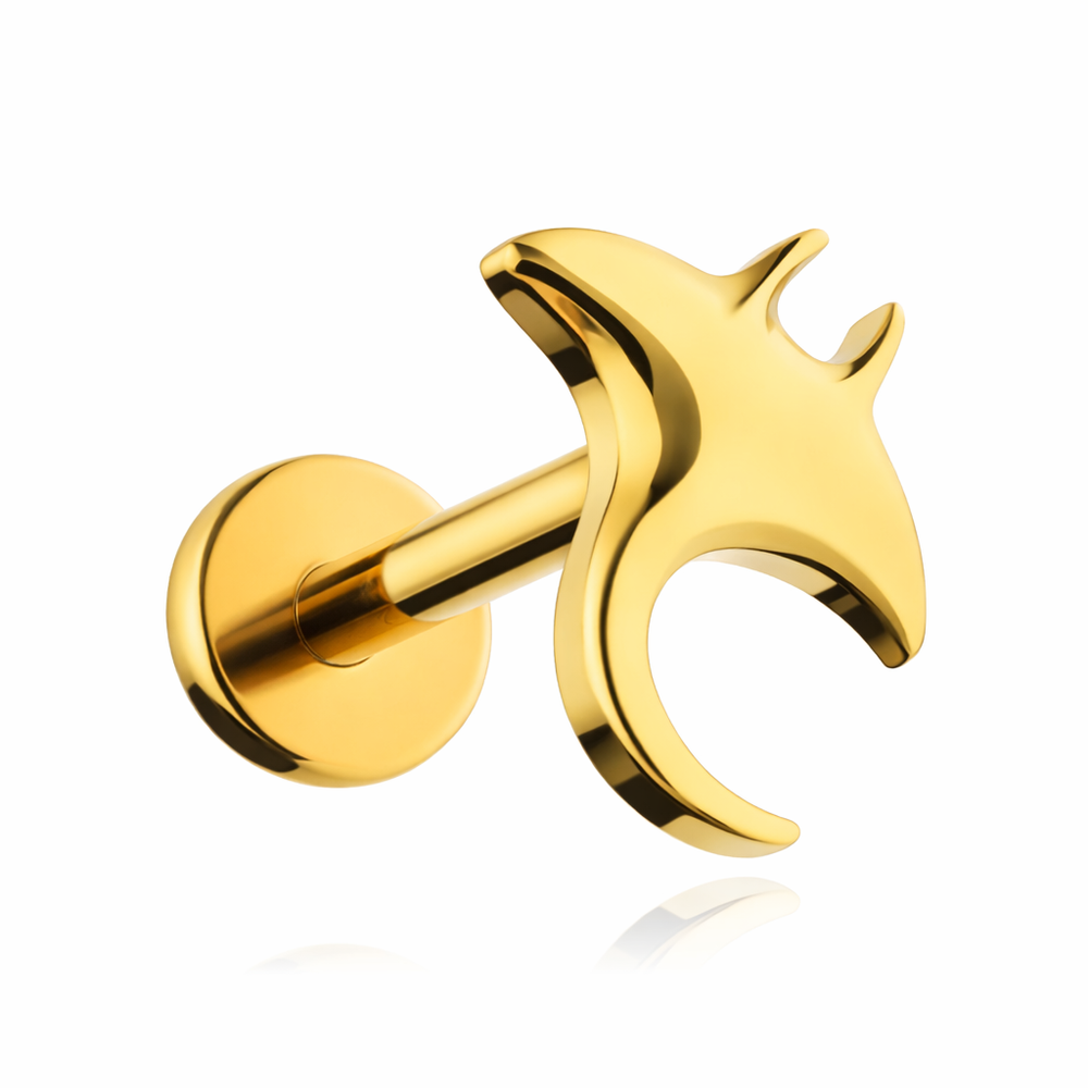 Titanová labreta peří - stříbrný