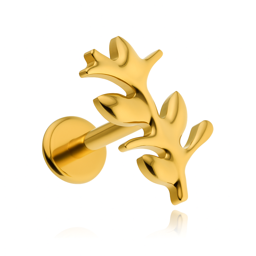 Titanová labreta peří - stříbrný