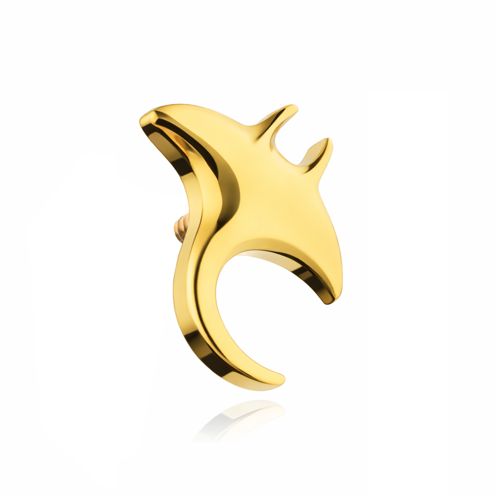 Titanová koncovka pro tyčinky stříbrný s bílými zirkony - - TNA-104